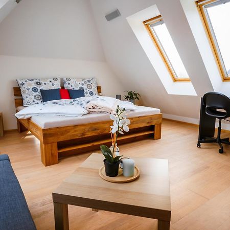 Apartman Ve Vile ออสตราวา ภายนอก รูปภาพ